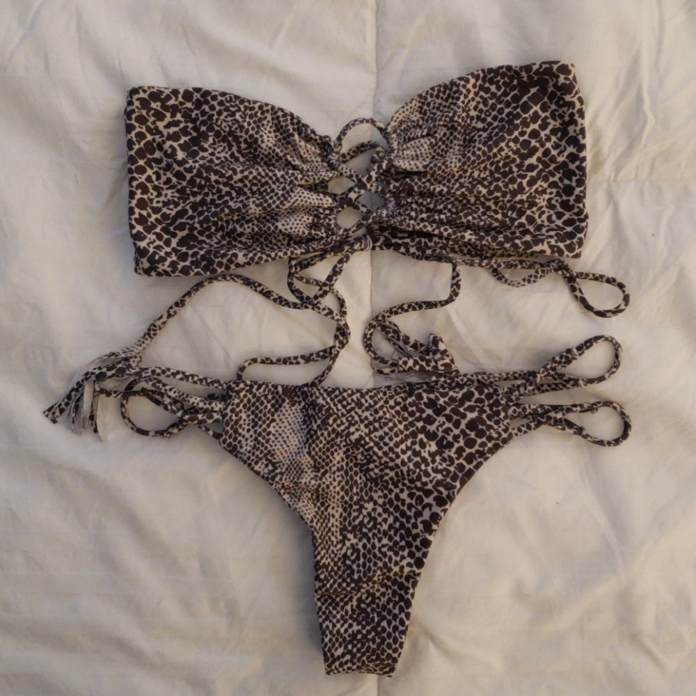 Acacia bikini